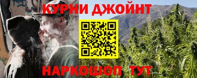 крисы Краснодар
