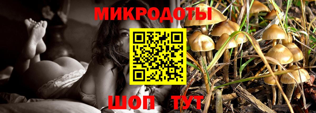 Елабуга  Псилоцибиновые грибы Cubensis  Галлюциногенные грибы Psilocybine cubensis  Вход с VPN 